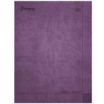 Cuaderno Espiral de 100 Hojas Collage Raya Pasta Dura Daily