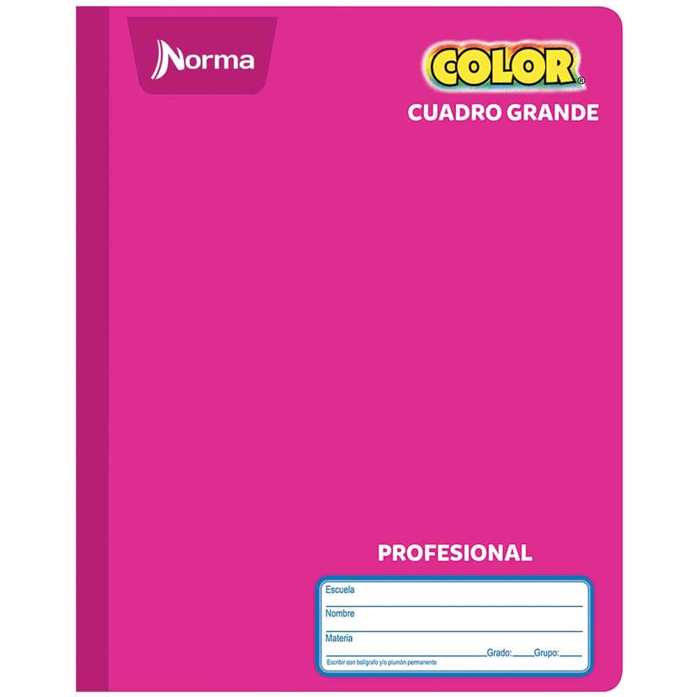 Cuaderno Cosido de 100 Hojas Profesional de Cuadro Grande Norma 360