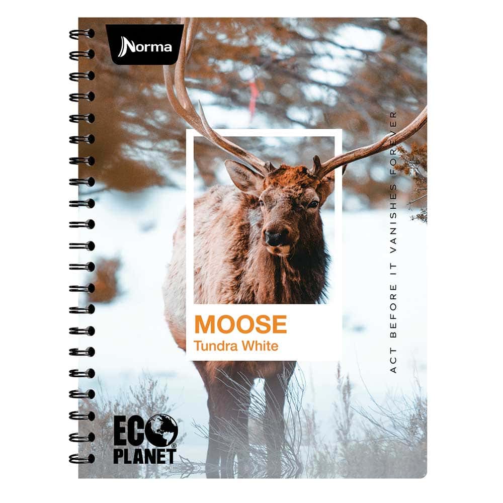 Cuaderno Espiral de 100 Hojas Profesional de Cuadro Chico Ecoplanet Norma 580747